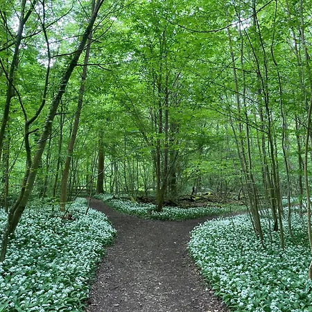 Apartment Gattinger Weinsberg